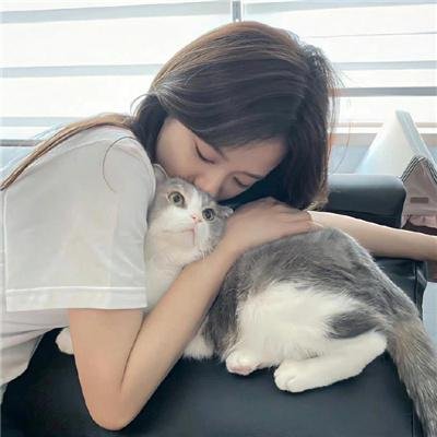 疯癫之翼