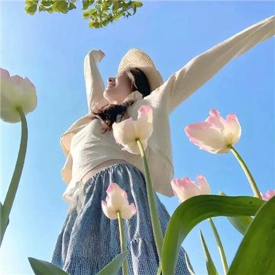 双面骗子虚假警察第二季